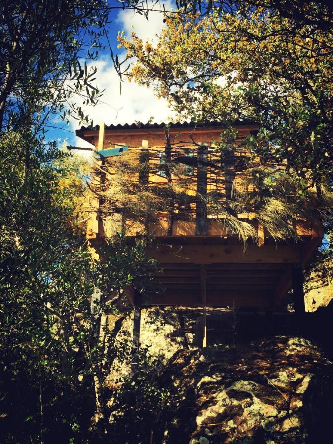 Casa Rural Flores Amarillas Almoharin Exteriör bild