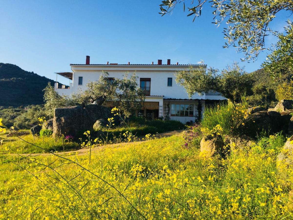 Casa Rural Flores Amarillas Almoharin Exteriör bild